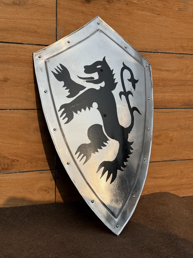 Dragon Templar Steel Shield with Medieval Knight Crusader view 5