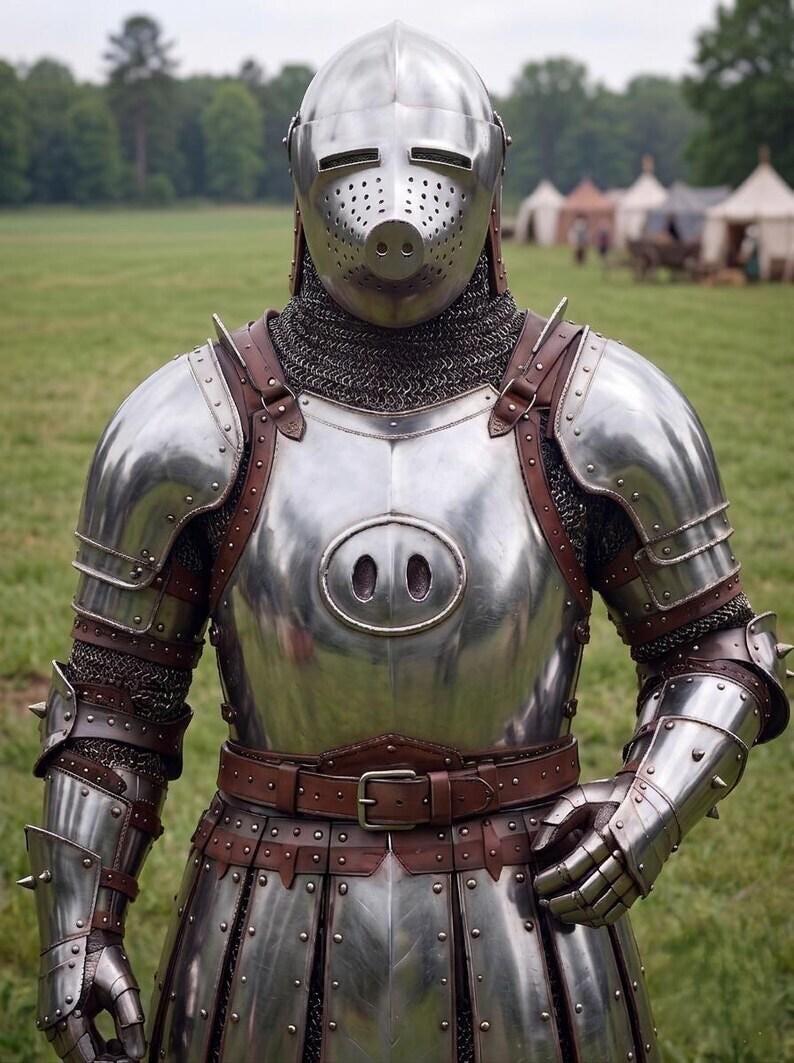 Medieval Pig Face Armor Suit with Bascinet for Buhurt and LARP view 2