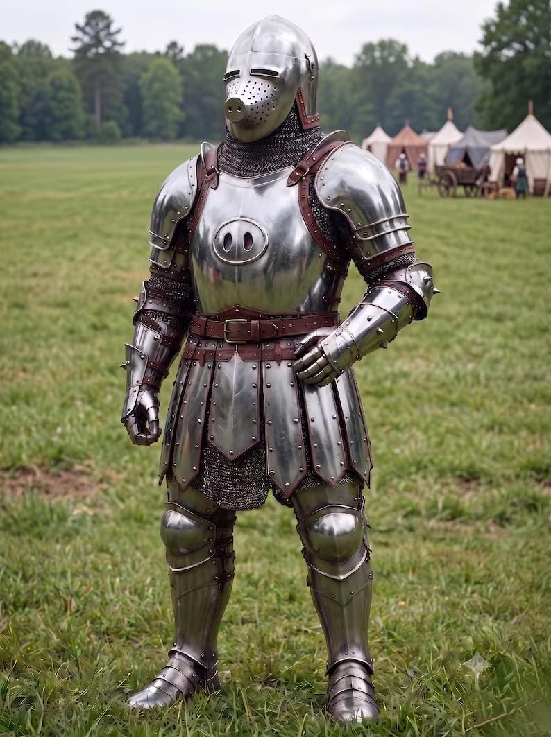 Medieval Pig Face Armor Suit with Bascinet for Buhurt and LARP view 4