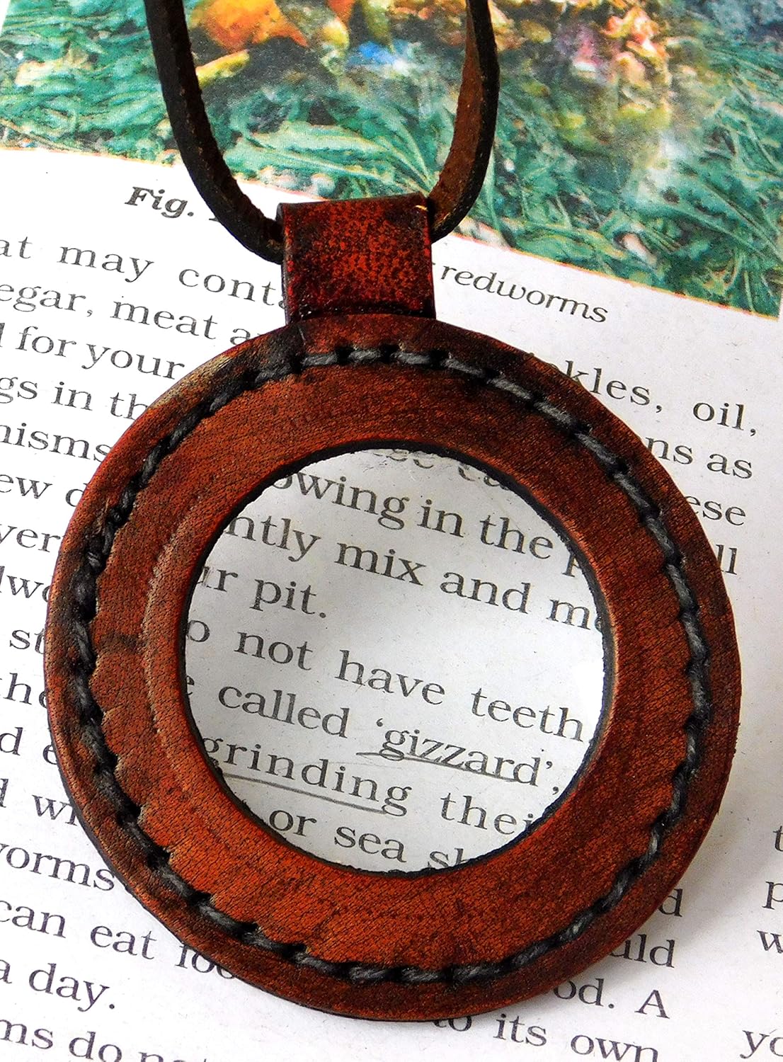 Pure Leather Wearable Magnifier 2" with Leather Belt view 2