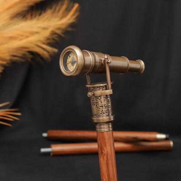 Walking Sticks — alternate view