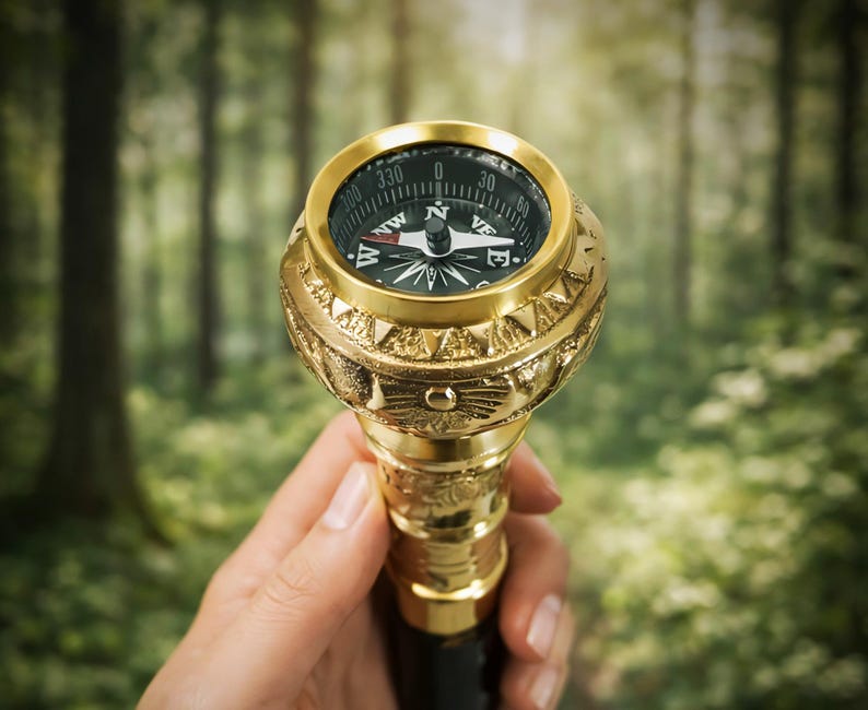 Brass Compass Handle Rosewood Walking Stick view 20